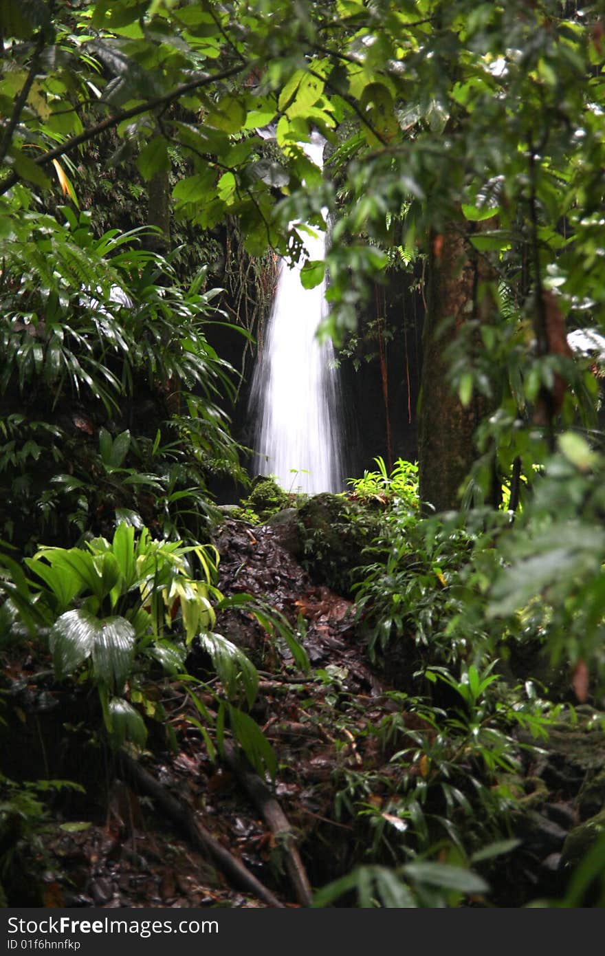 A heavenly waterfall in the rainforest.