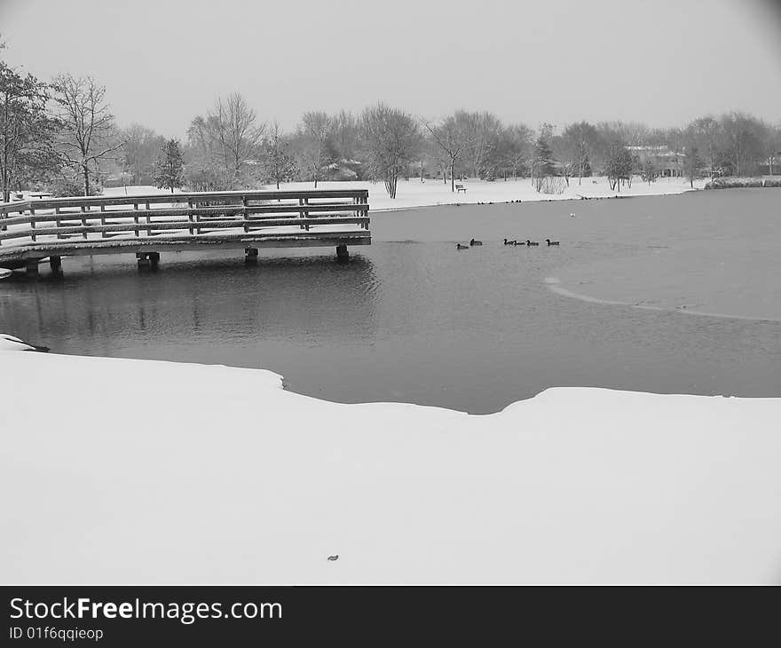 Winter Pond