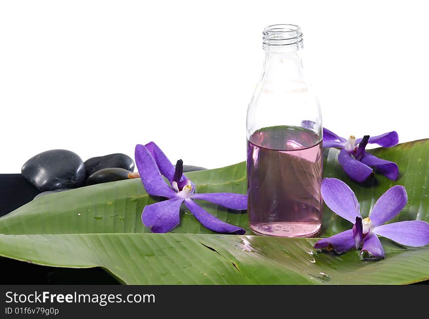 Spa objects on isolated white background. Spa objects on isolated white background