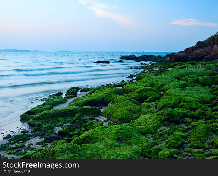 Green stones on the Water. Green stones on the Water