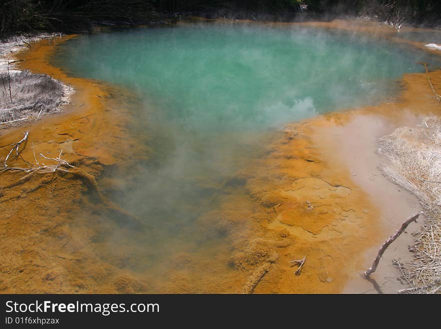 Steaming geothermal pool in central Rotorua