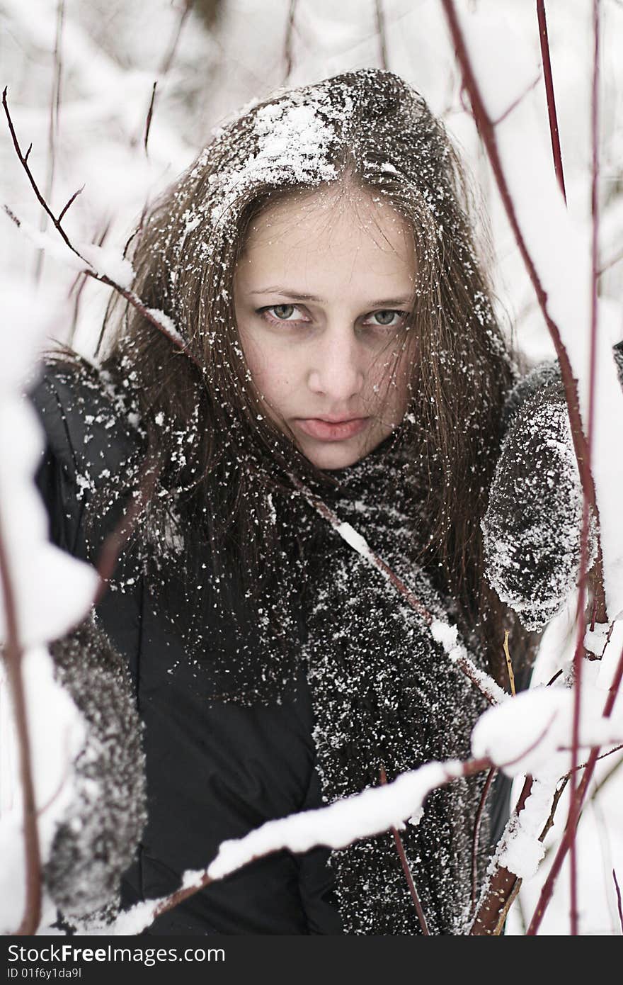 The girl in winter forest. The girl in winter forest