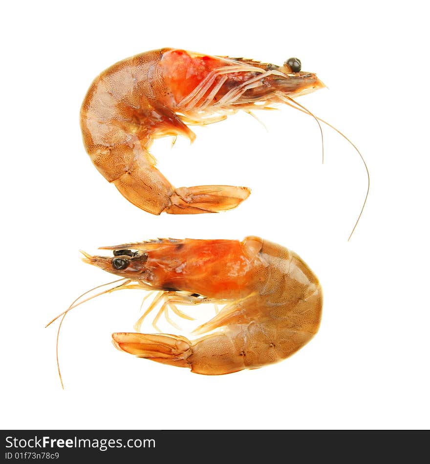 Two raw crevette prawns isolated on white. Two raw crevette prawns isolated on white