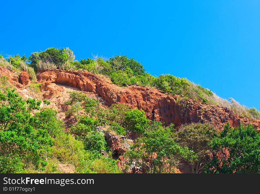 Trees on the rock, Ko Larn