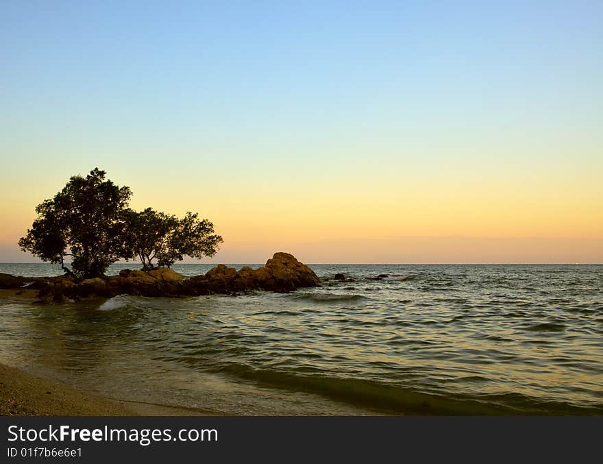 Sea view, Rock and tree