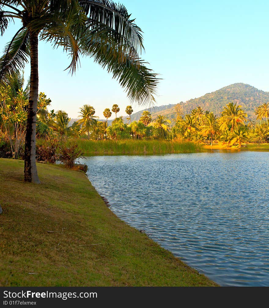 Tropical Garden, Phuket, Thailand, Asia. Tropical Garden, Phuket, Thailand, Asia