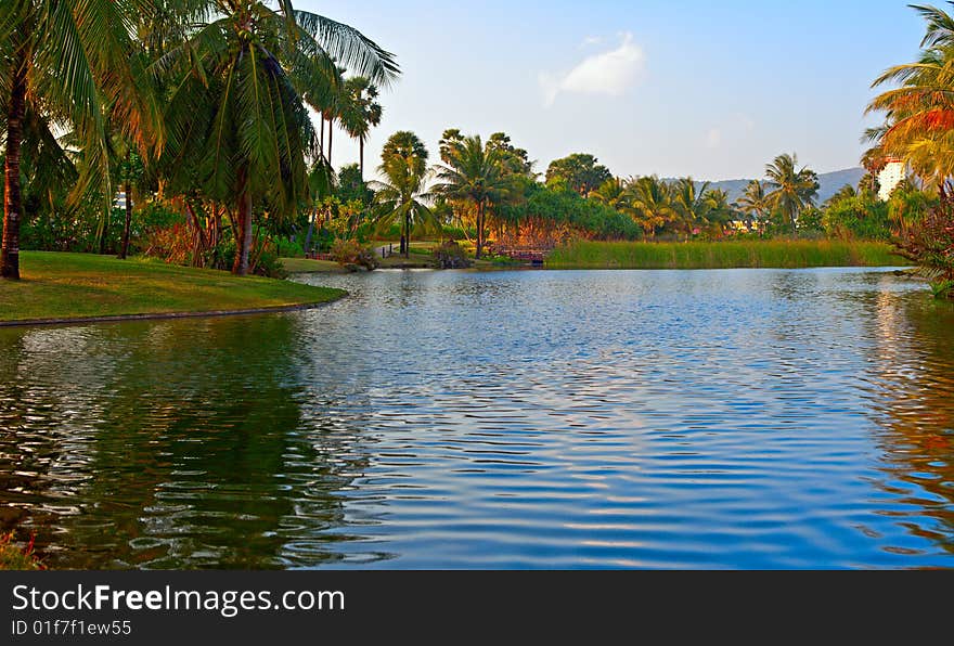 Tropical garden on the river. Tropical garden on the river