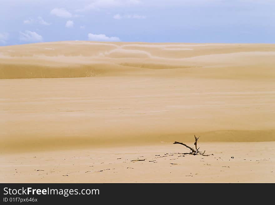 Sand dunes