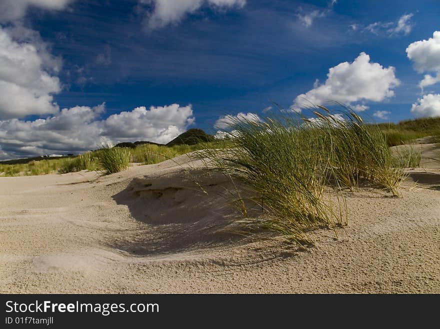 Sand Dunes On The Beach