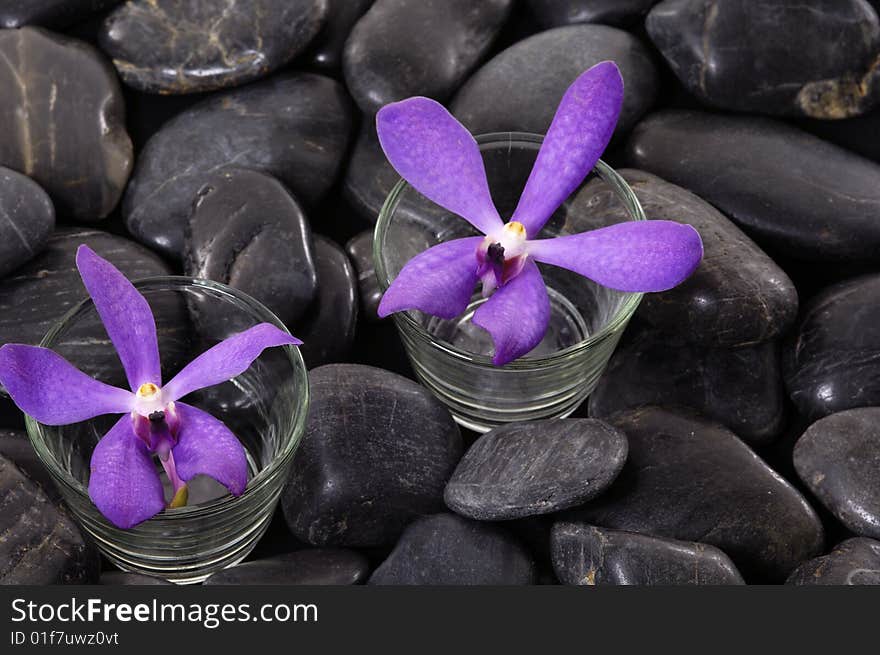 Beautiful flower and black stone. Beautiful flower and black stone