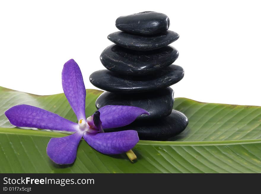 Orchid and stones on banana leaf. Orchid and stones on banana leaf