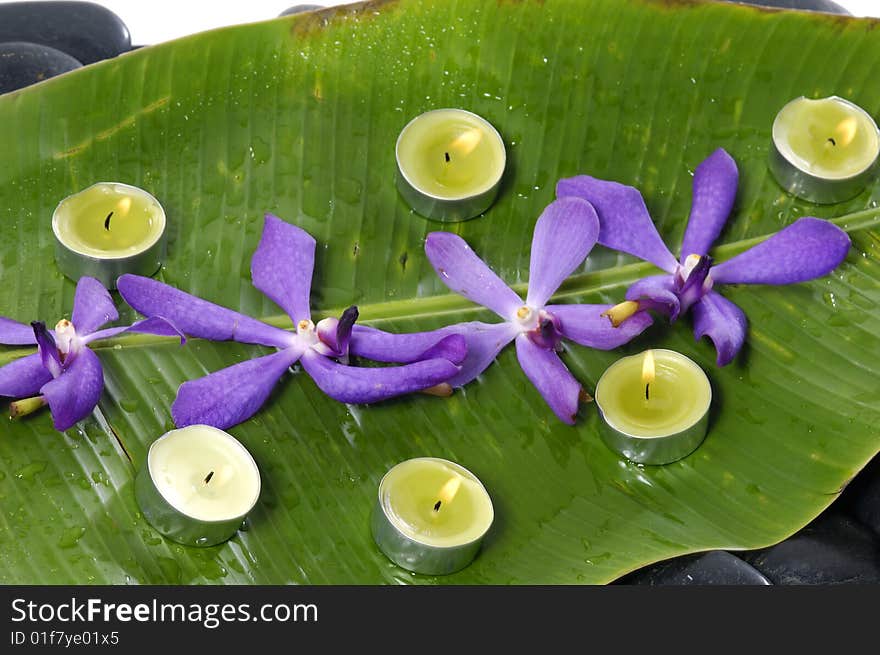 Orchid and stones on banana leaf. Orchid and stones on banana leaf