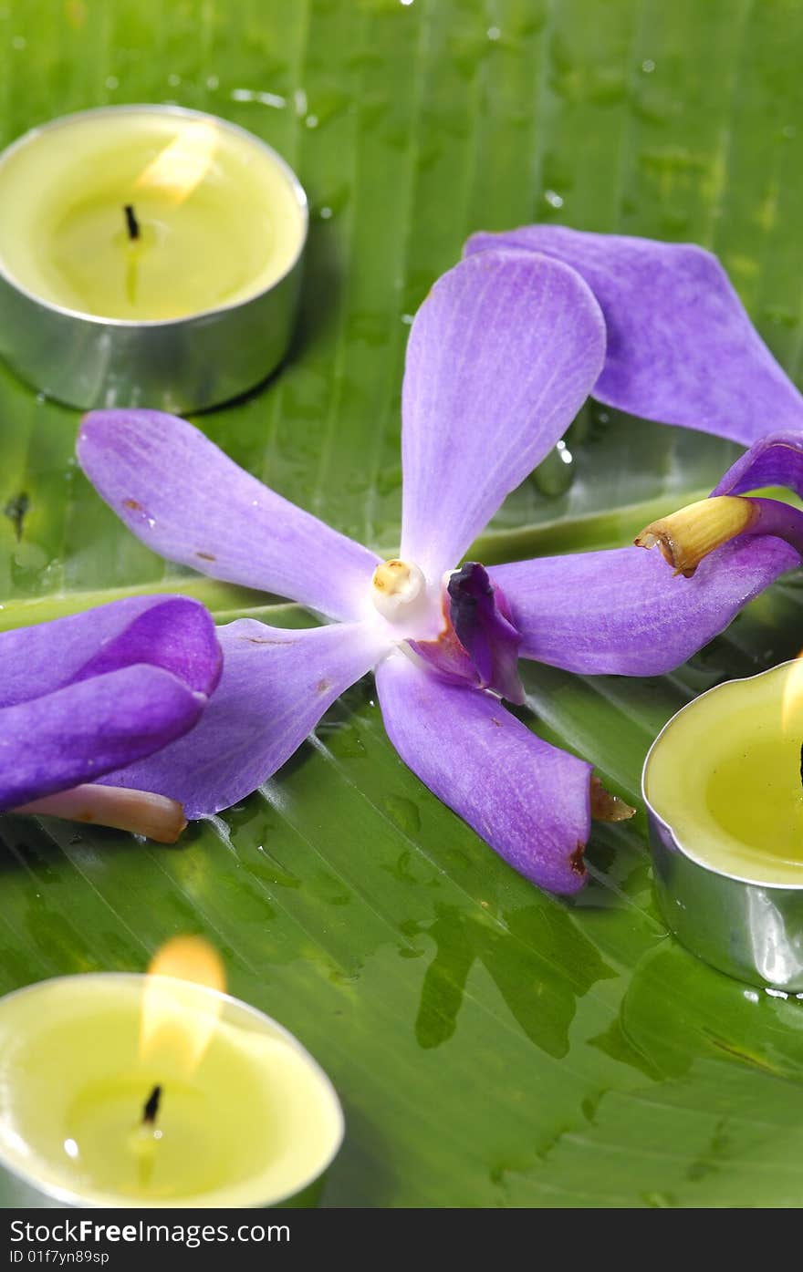 Orchid and stones on banana leaf. Orchid and stones on banana leaf