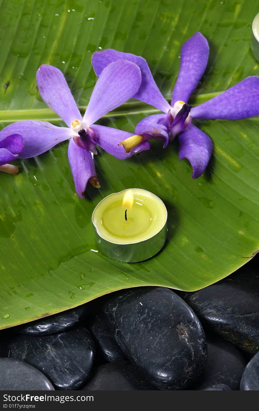 Orchid and stones on banana leaf. Orchid and stones on banana leaf