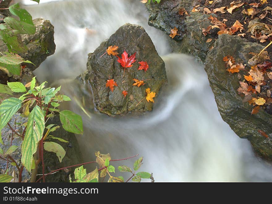 Autumn Stream