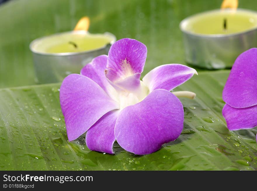 Spa item on banana leaf. Spa item on banana leaf