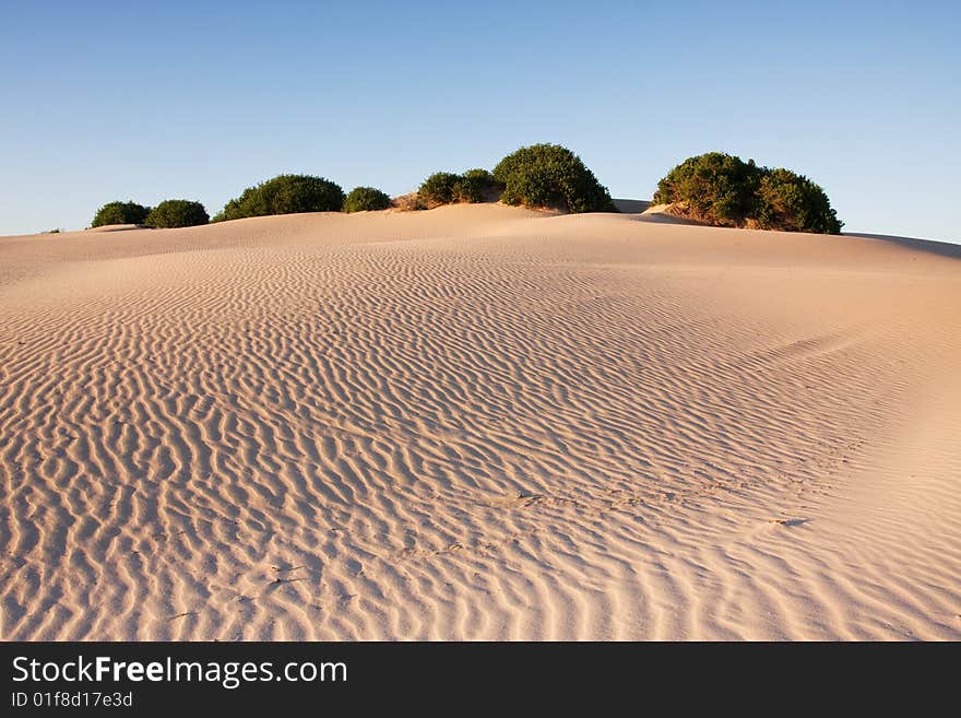 Sand dunes during sunset, dramatic shadow play at Stockton dunes in Anna Bay, NSW, Australia. Sand dunes during sunset, dramatic shadow play at Stockton dunes in Anna Bay, NSW, Australia