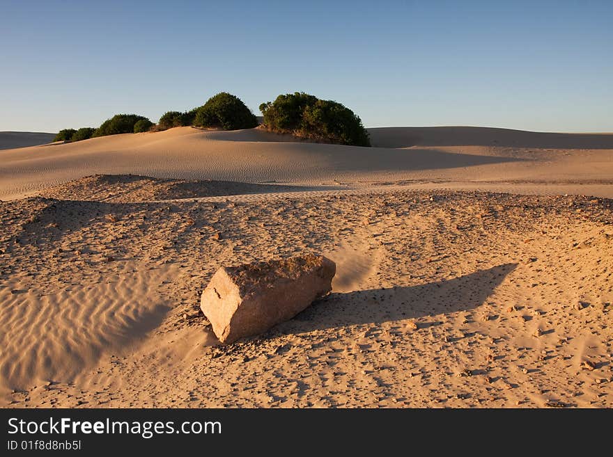 Sand dunes during sunset, dramatic shadow play at Stockton dunes in Anna Bay, NSW, Australia. Sand dunes during sunset, dramatic shadow play at Stockton dunes in Anna Bay, NSW, Australia