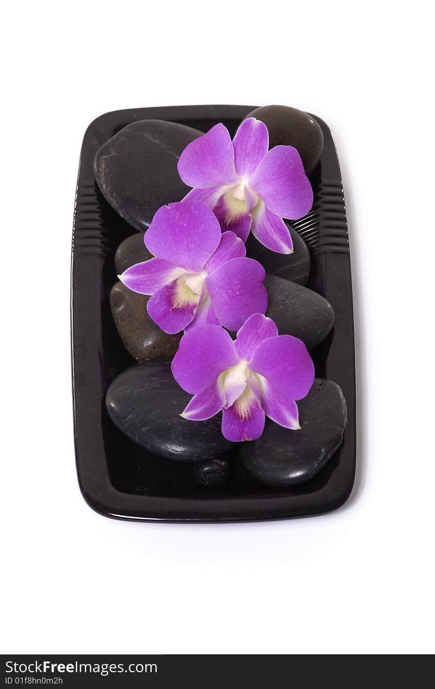 Beautiful purple orchid and black stone. Beautiful purple orchid and black stone