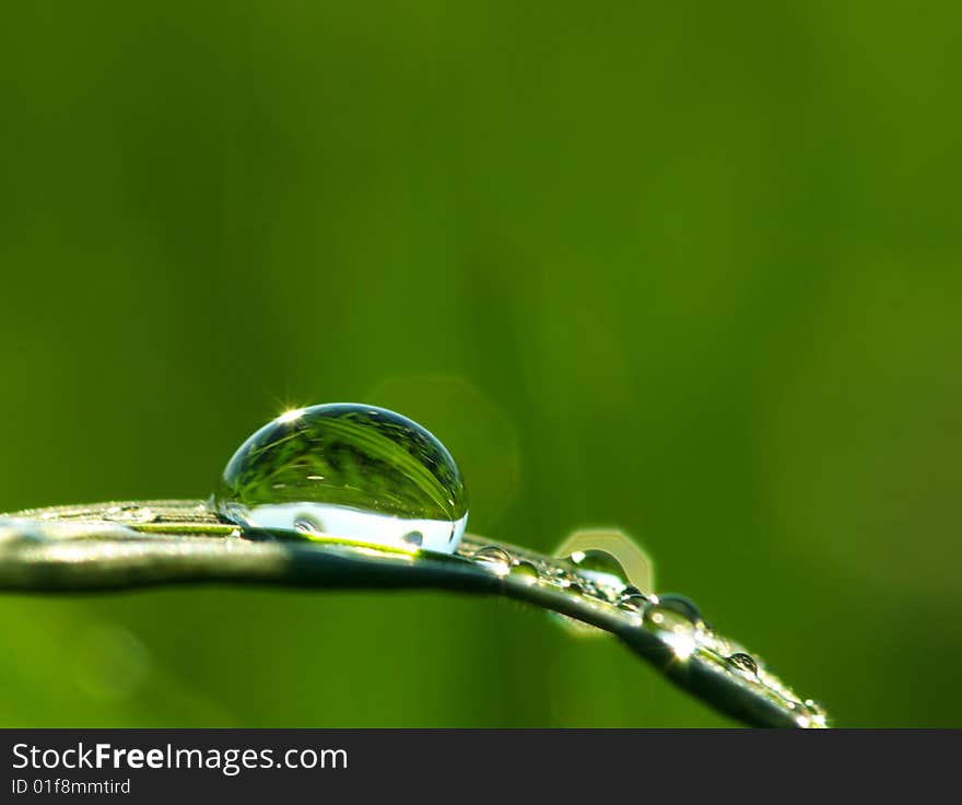 Dew drop on a blade of grass