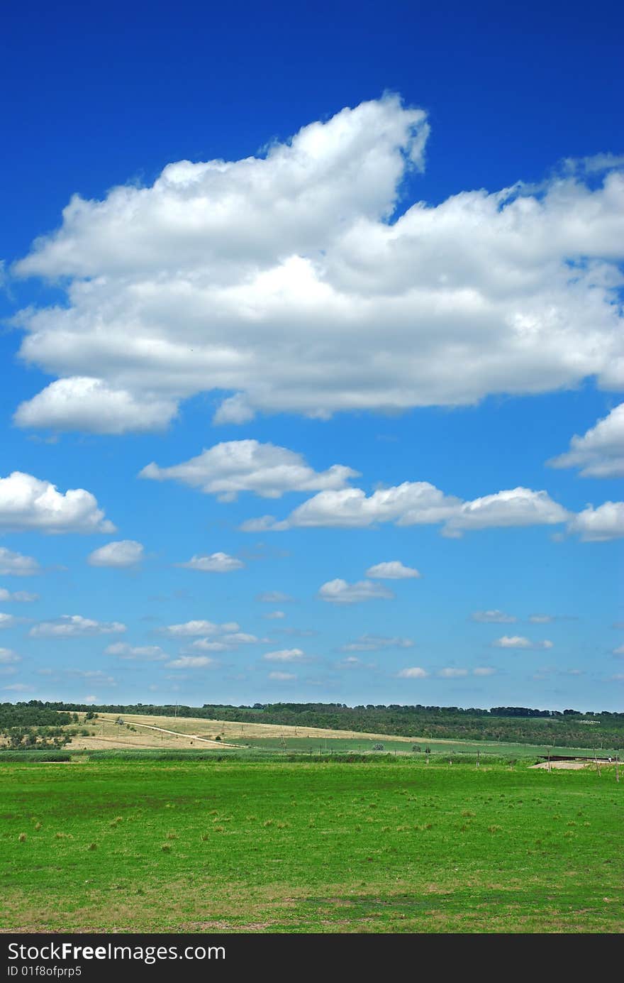 Green field and blue sky