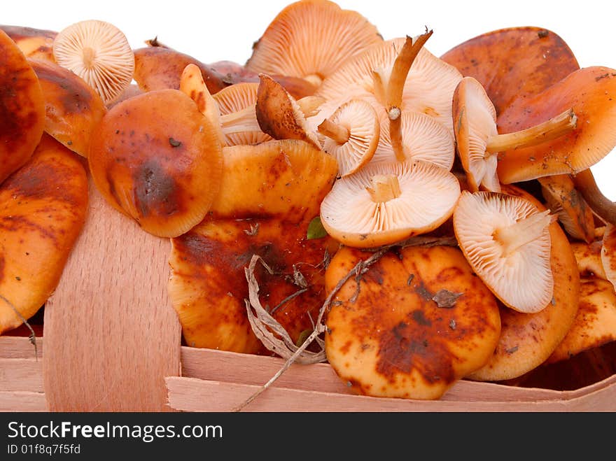 Fresh appetizing mushrooms in a basket on a white background.