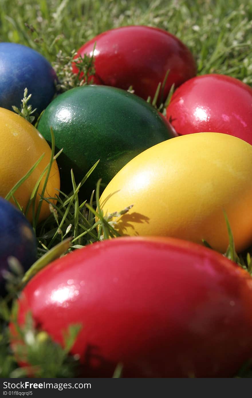 Easter eggs with different color on the grass