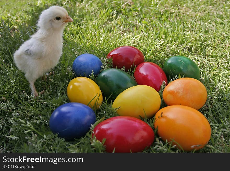 Easter eggs and chicken on the grass