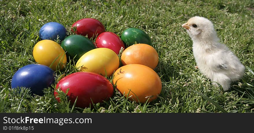 Easter eggs and chicken on the grass