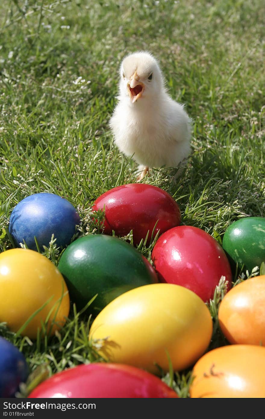 Easter eggs and chicken on the grass