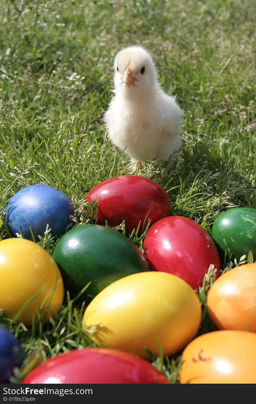 Easter eggs and chicken on the grass