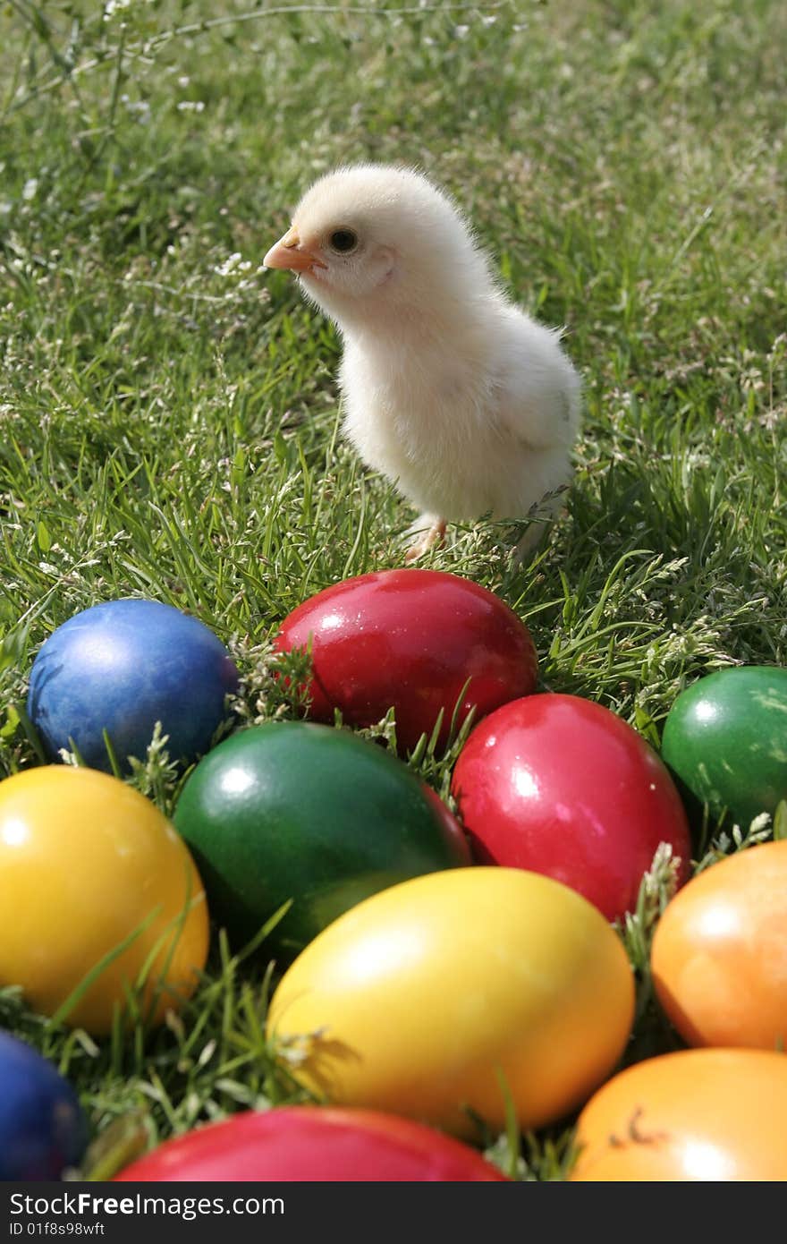 Easter eggs and chicken on the grass