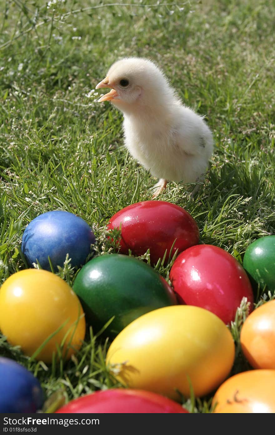 Easter eggs and chicken on the grass