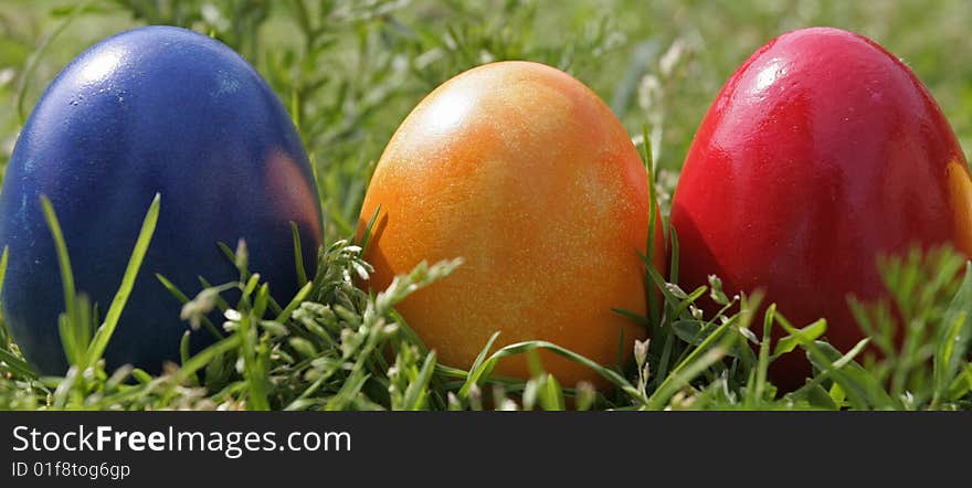 Easter eggs with different color on the grass