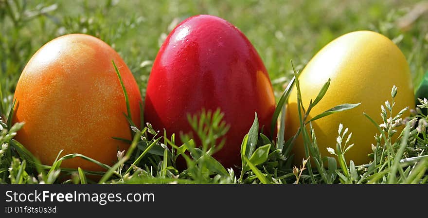 Easter eggs with different color on the grass