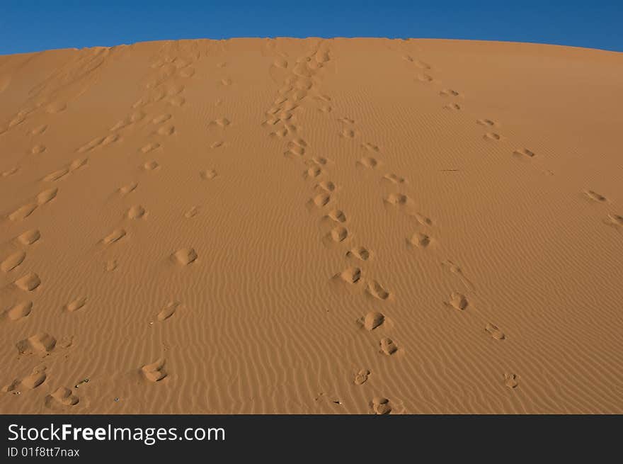 Feet running in the desert