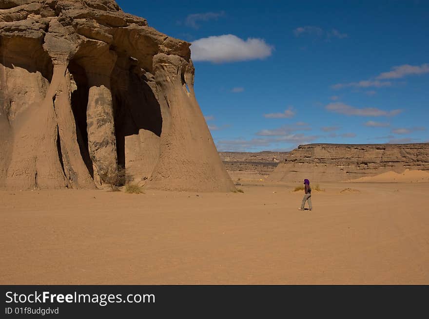 Monolithe In Desert Sahara