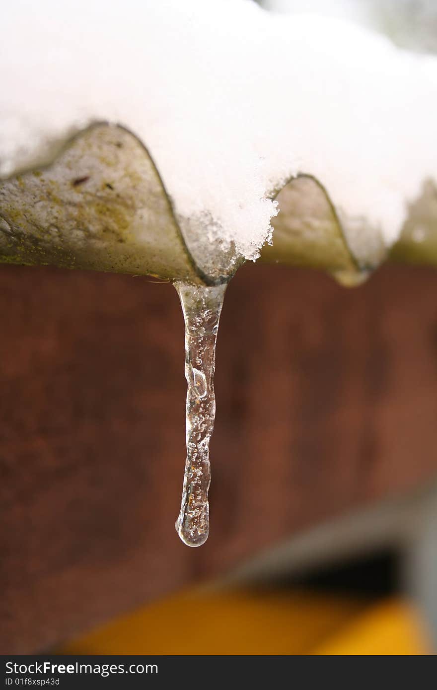 An Icicle forms as the snow melts