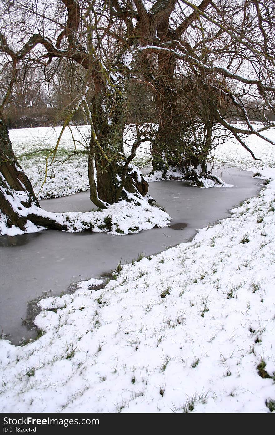 Frozen sream with trees popping through. Frozen sream with trees popping through