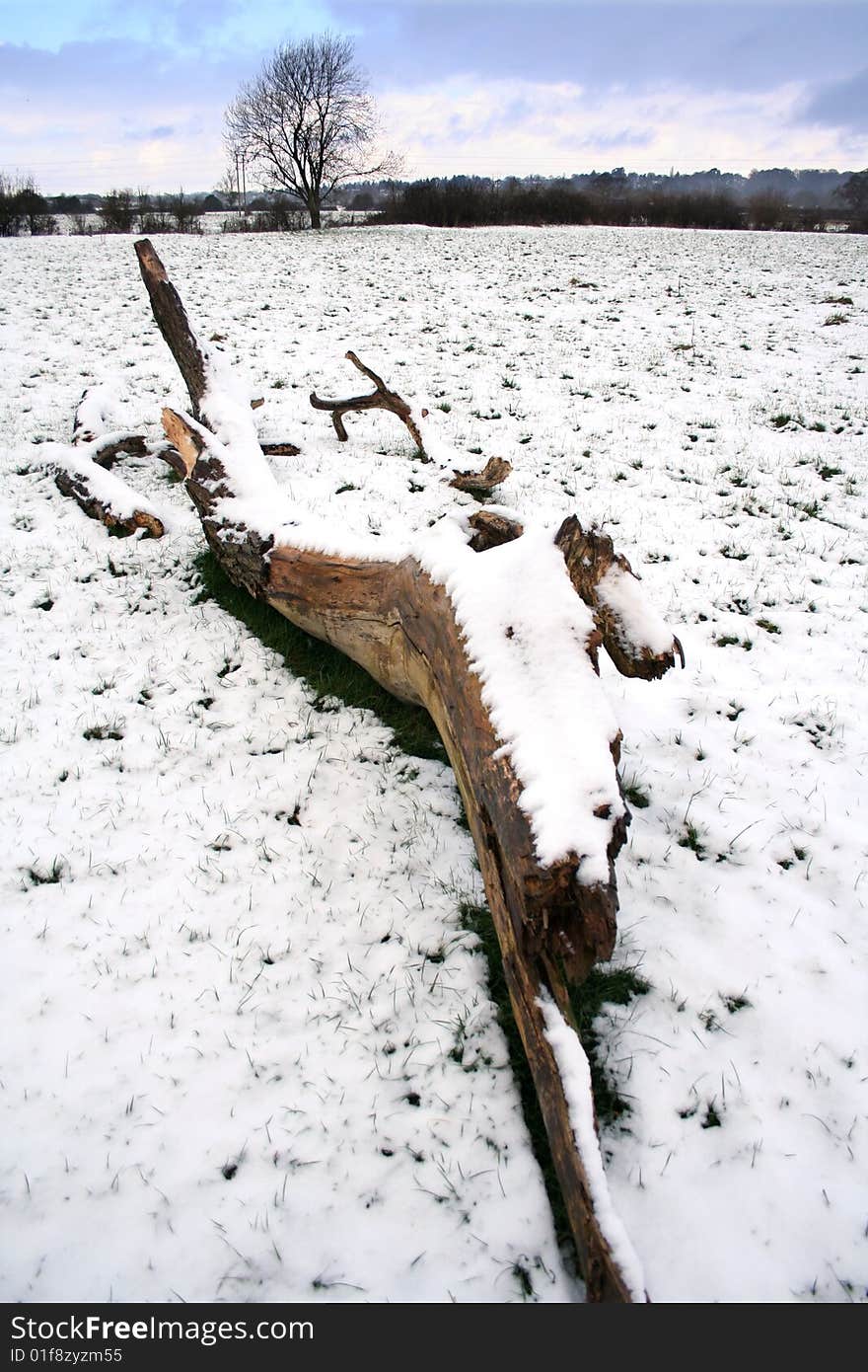 Snow in a field, and a fallen tree. Snow in a field, and a fallen tree