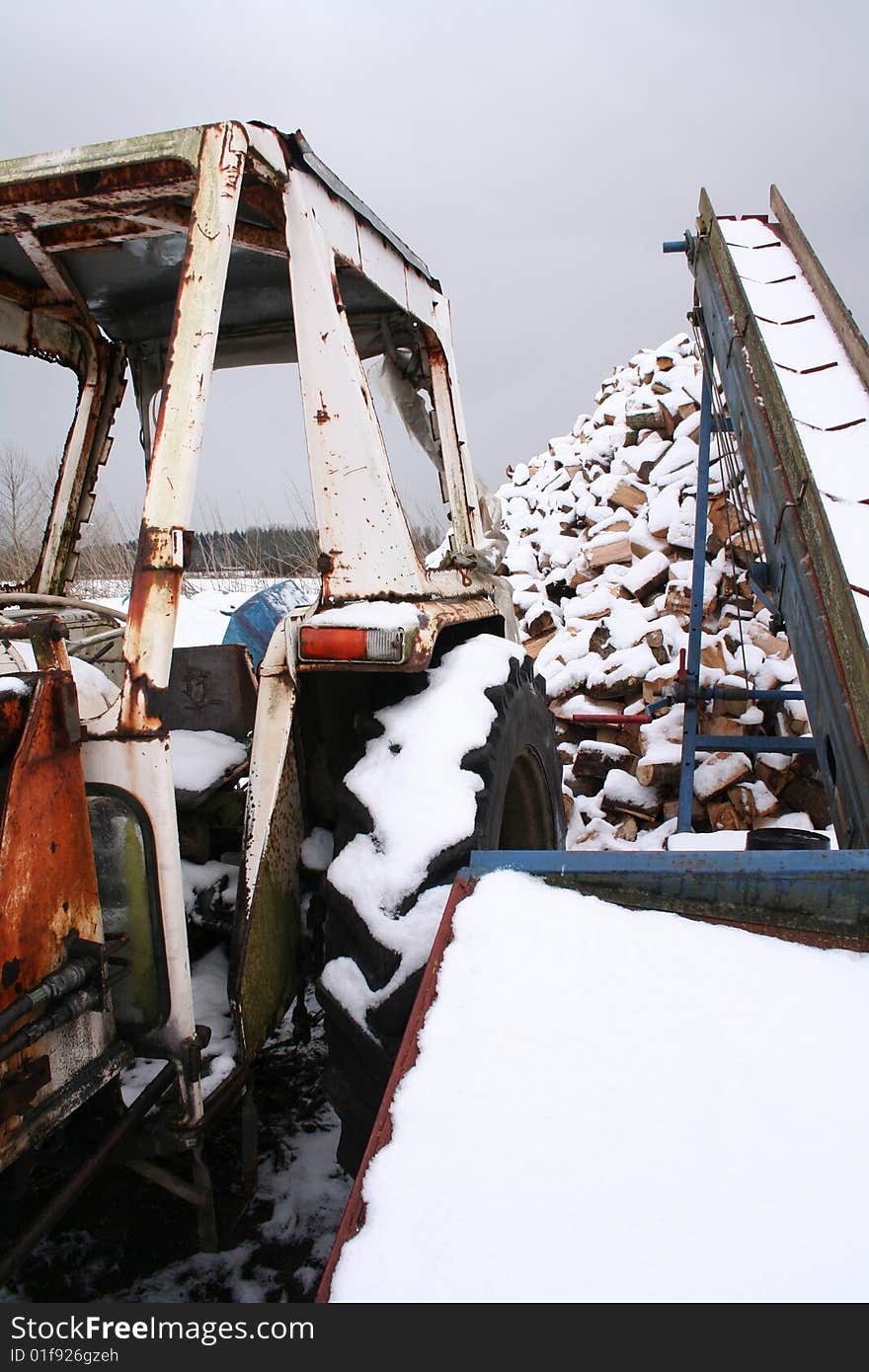 A pile of logs ready for cutting in the snow. A pile of logs ready for cutting in the snow