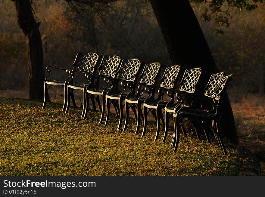 Lawn Chairs