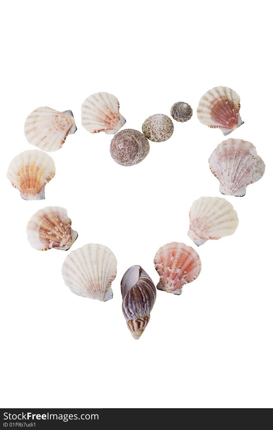 Heart made of shells isolated