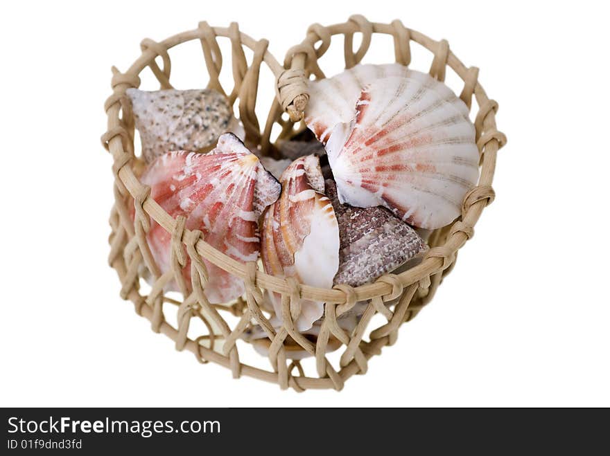 Basket filled with couple of shells