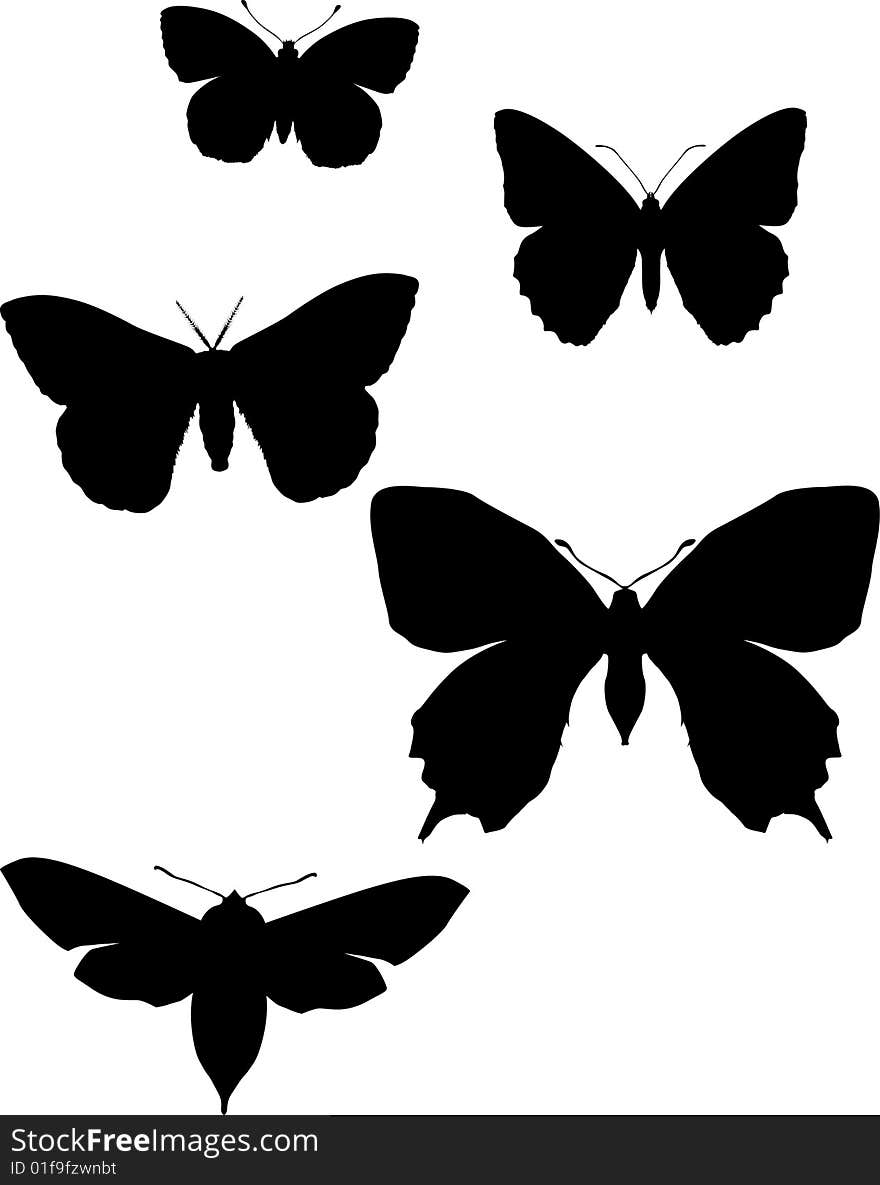 Illustration with butterfly silhouettes collection isolated on white background. Illustration with butterfly silhouettes collection isolated on white background