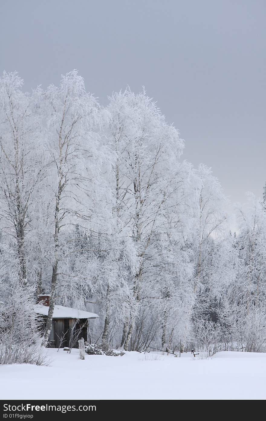 House in winter