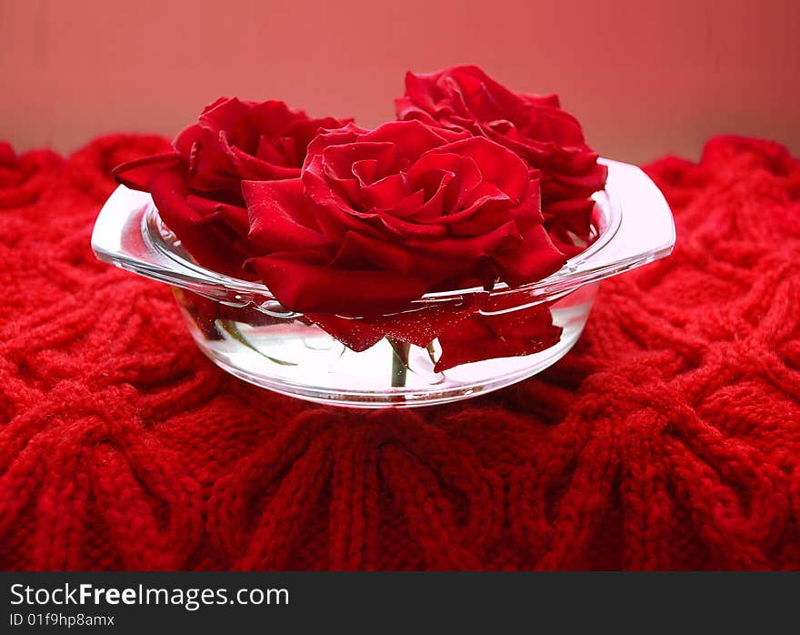 Scarlet roses in a glass flat vase on the woolen knitted serviette