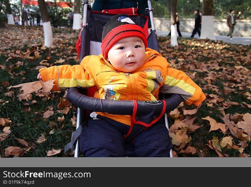 A little baby sitting in a baby carrier in autumn leaves. A little baby sitting in a baby carrier in autumn leaves