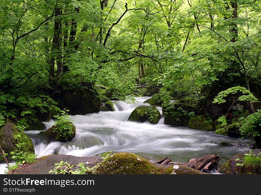 Oirase-gawa River in the Japan