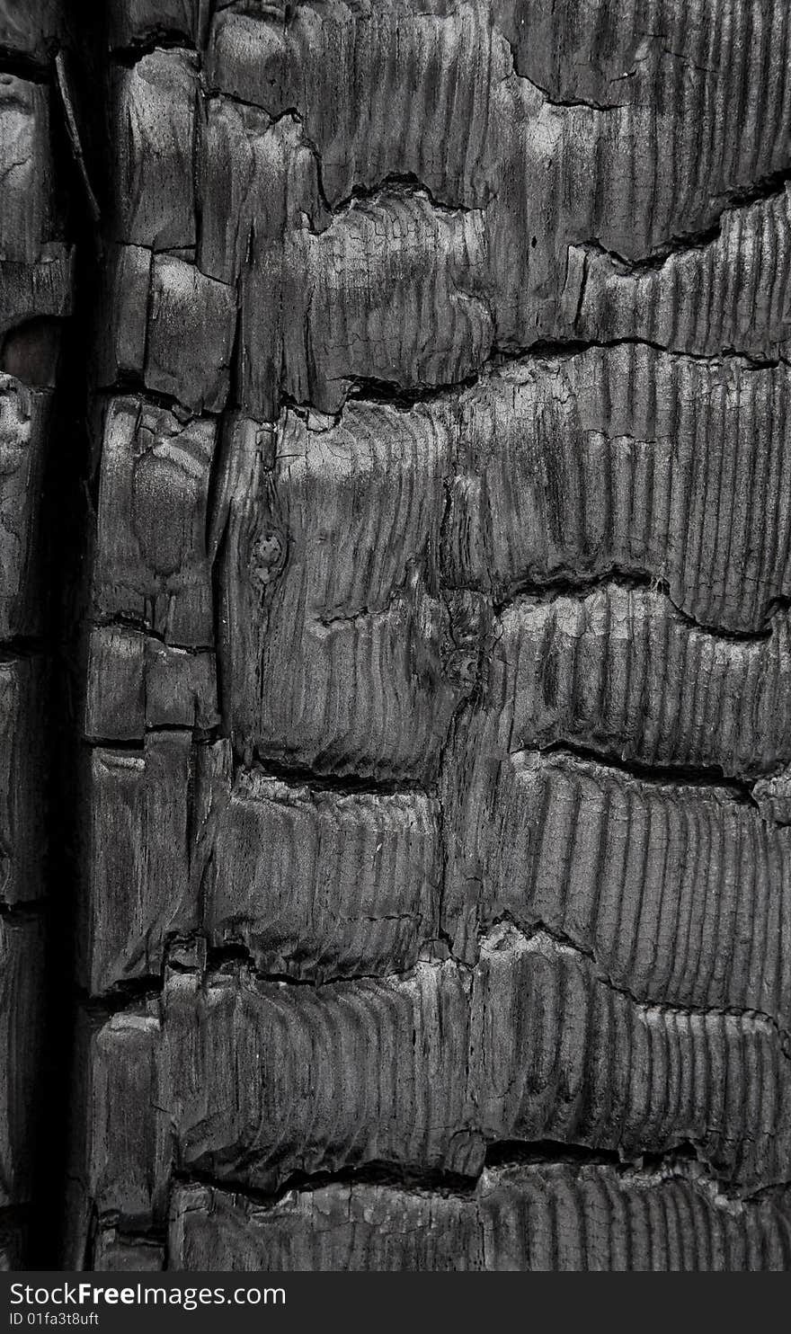 Burned wood texture